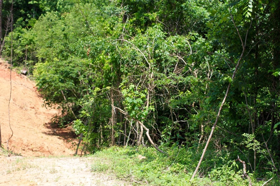 Bluebird Ranch Tract 10 photo 24