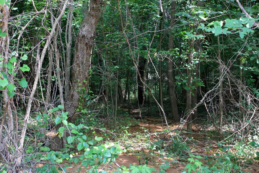 Bluebird Ranch Tract 10 photo 25
