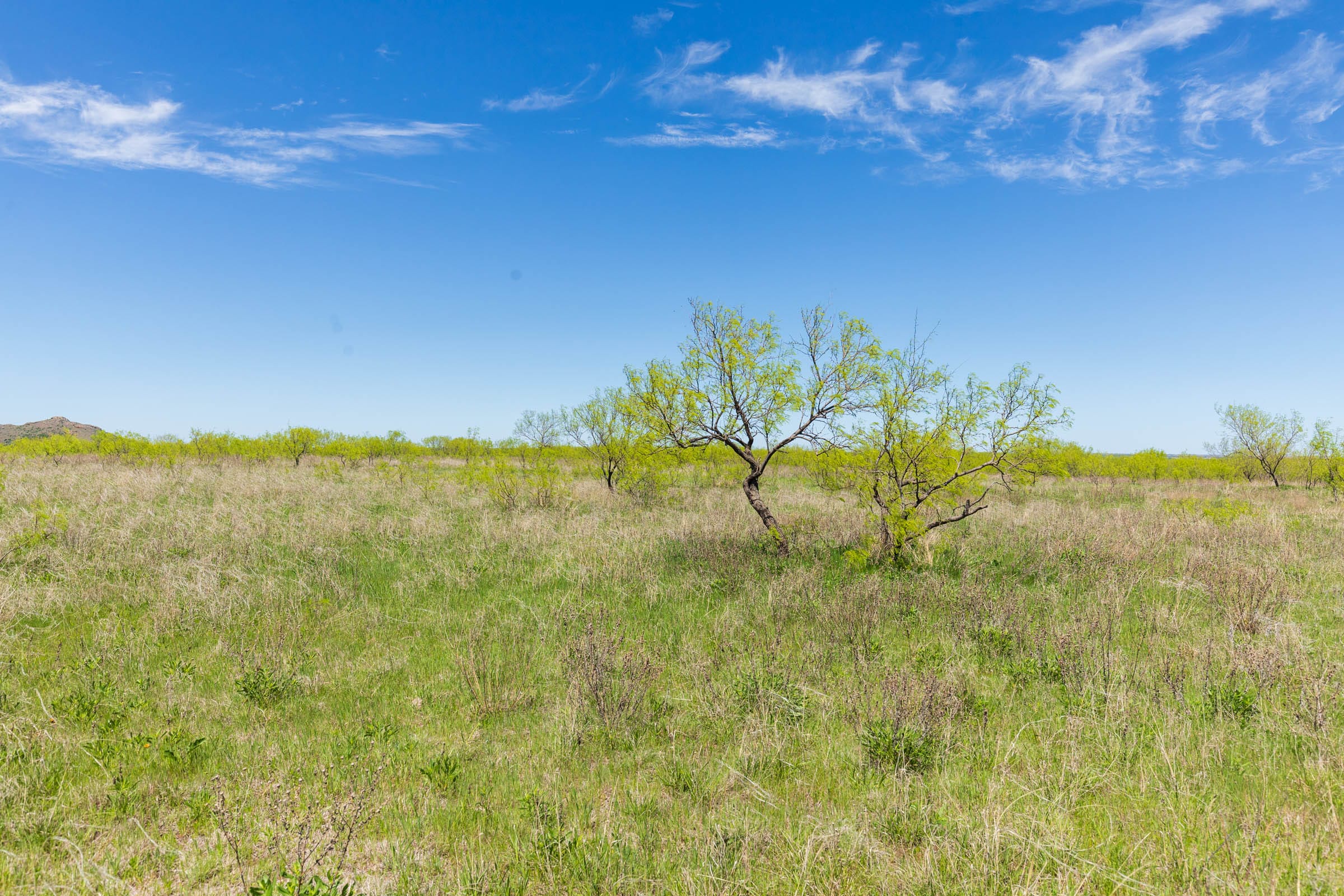 Hackberry Fields Tract 5 photo 4