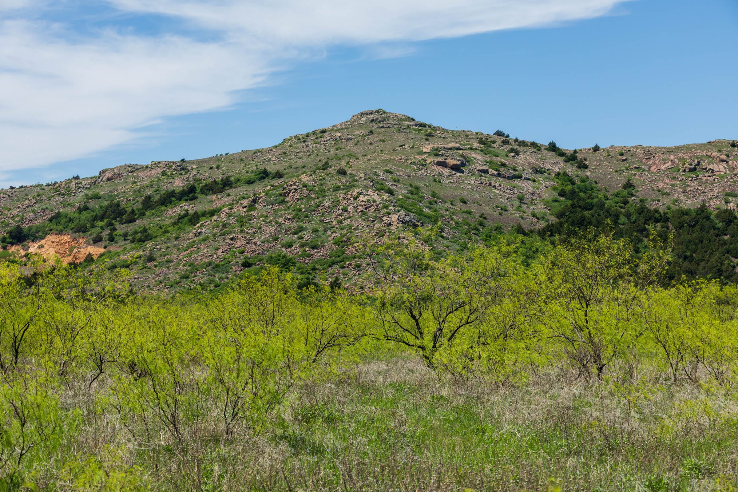 Hackberry Fields Tract 5 photo 3