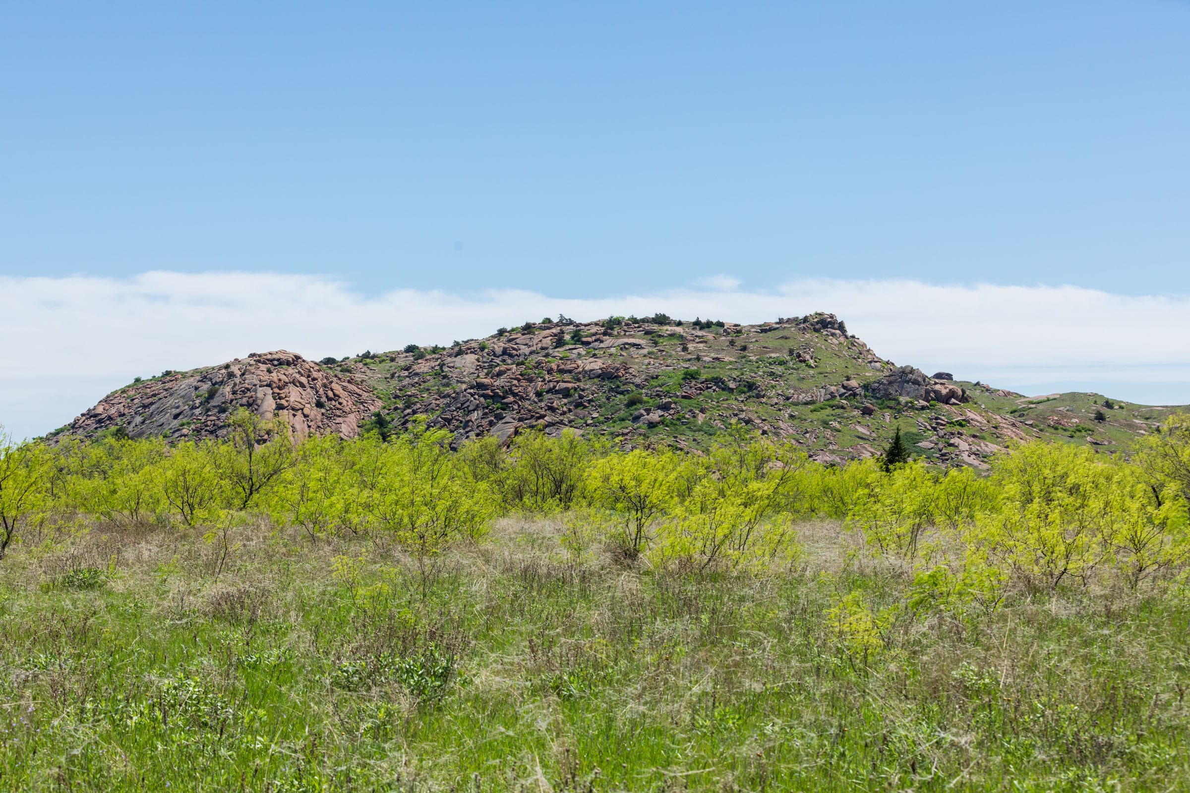 Hackberry Fields Tract 5 photo 8