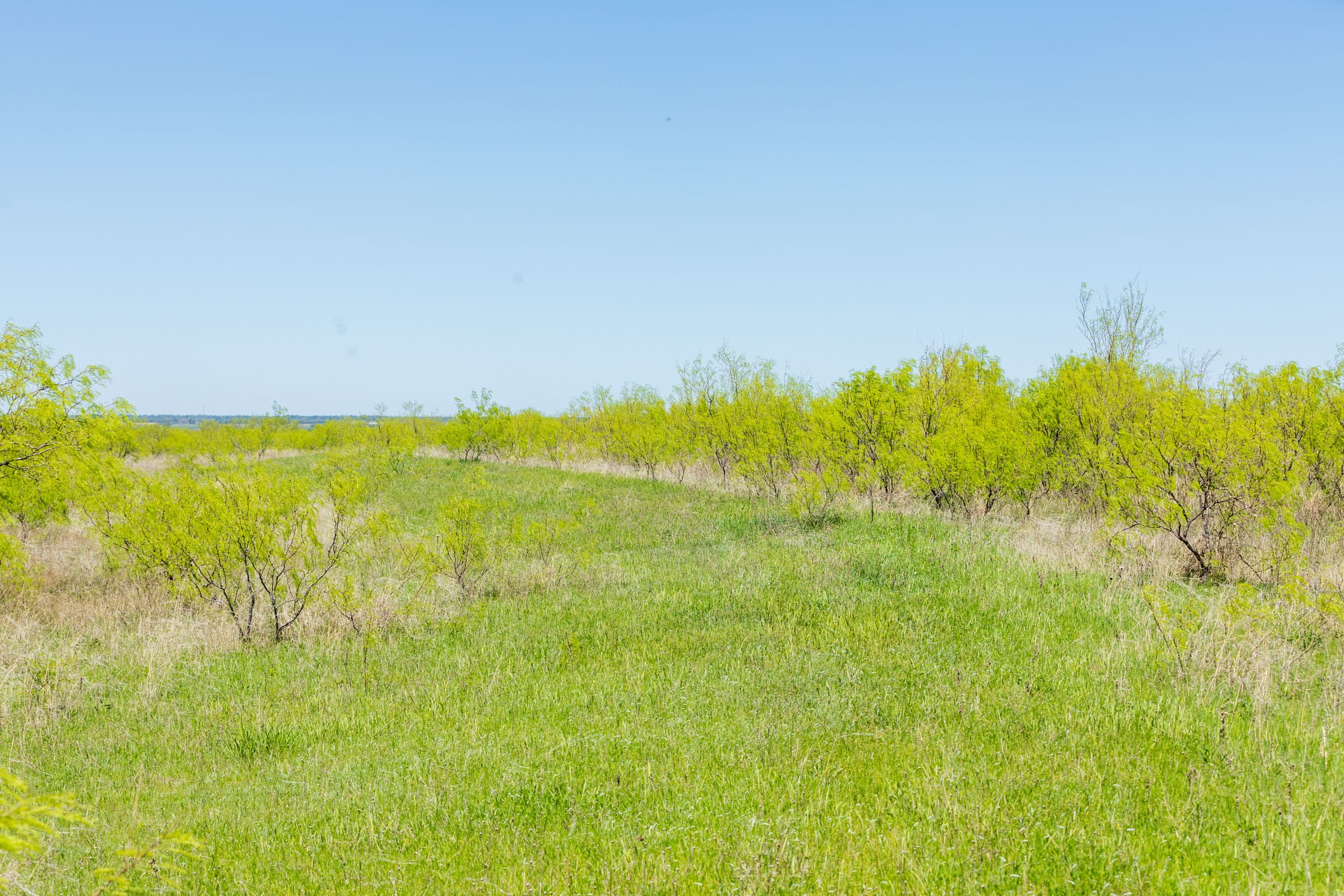 Hackberry Fields Tract 5 photo 12