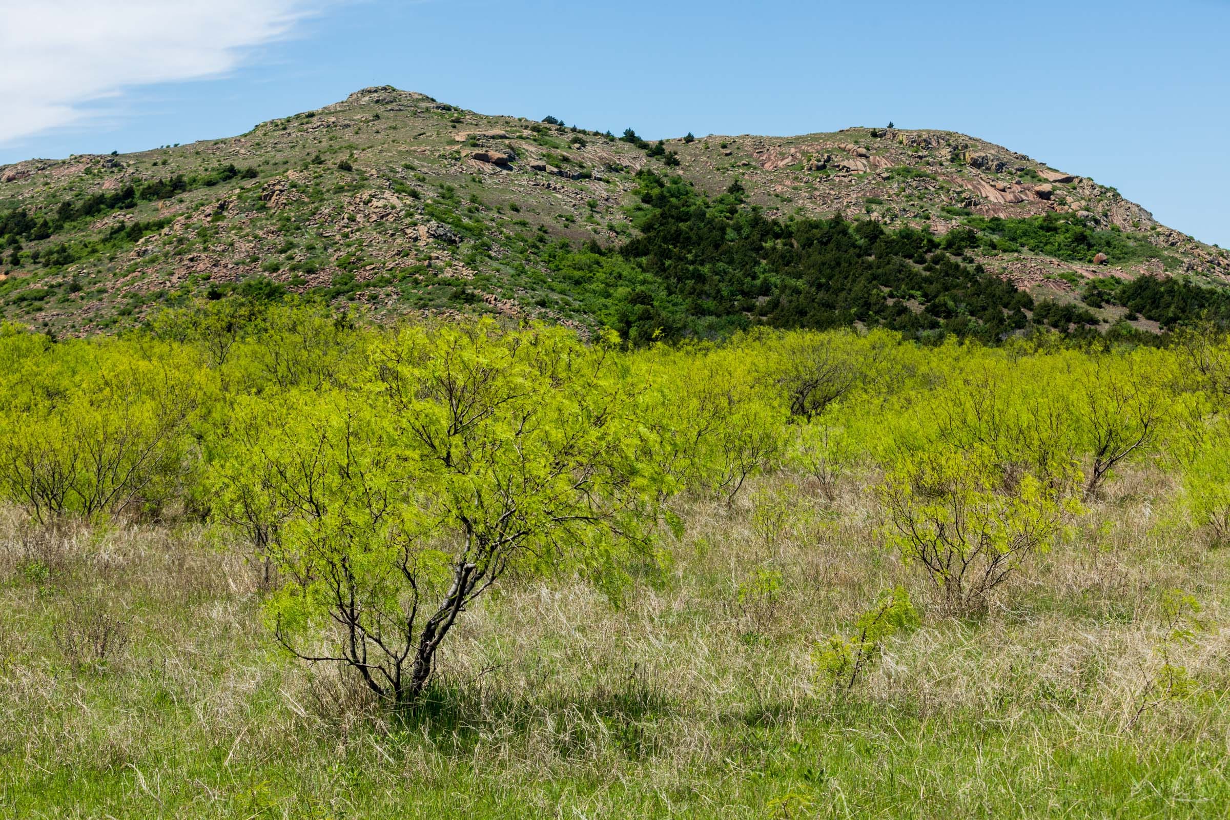 Hackberry Fields Tract 5 photo 11
