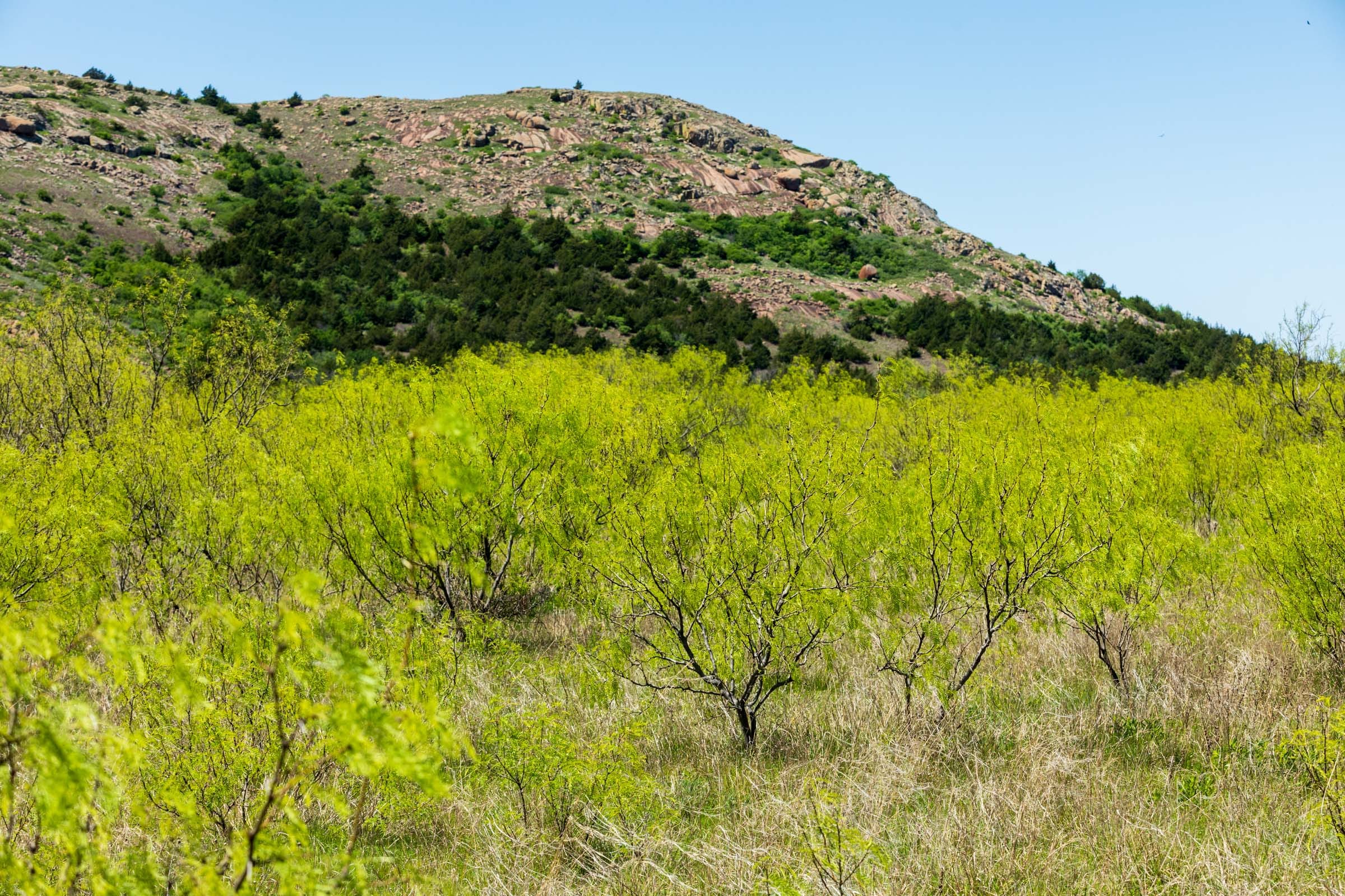 Hackberry Fields Tract 5 photo 13