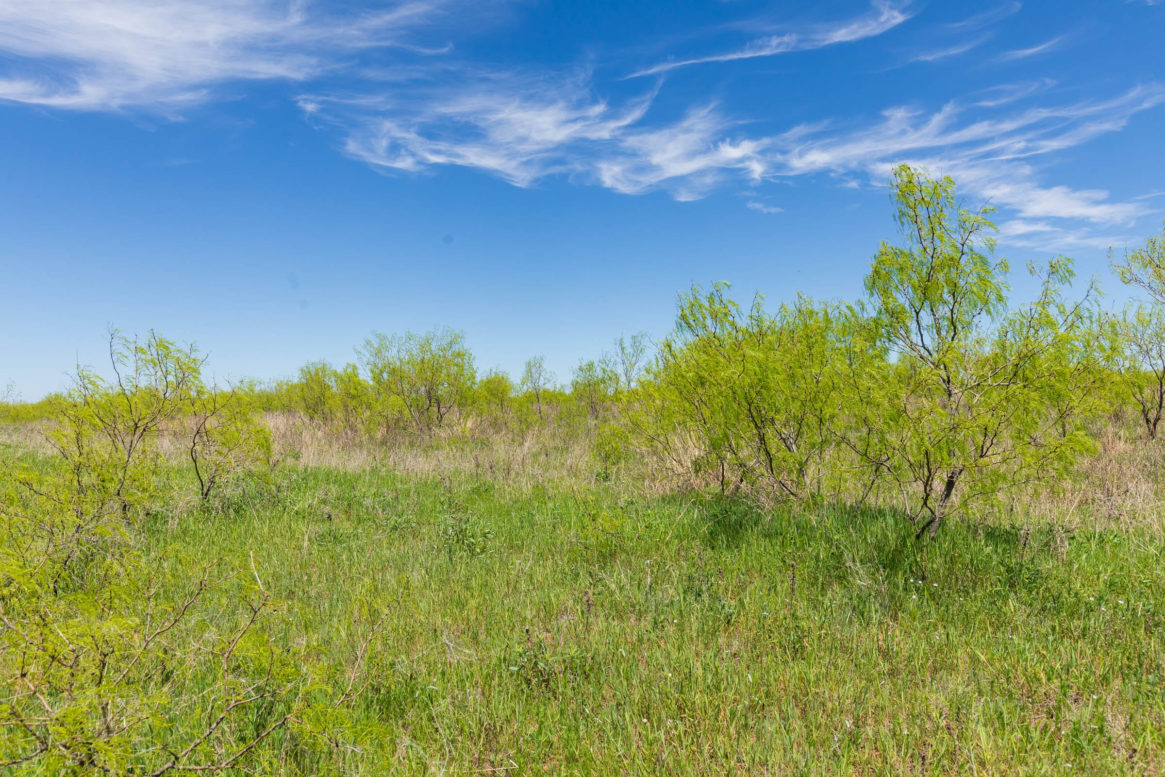 Hackberry Fields Tract 5 photo 17