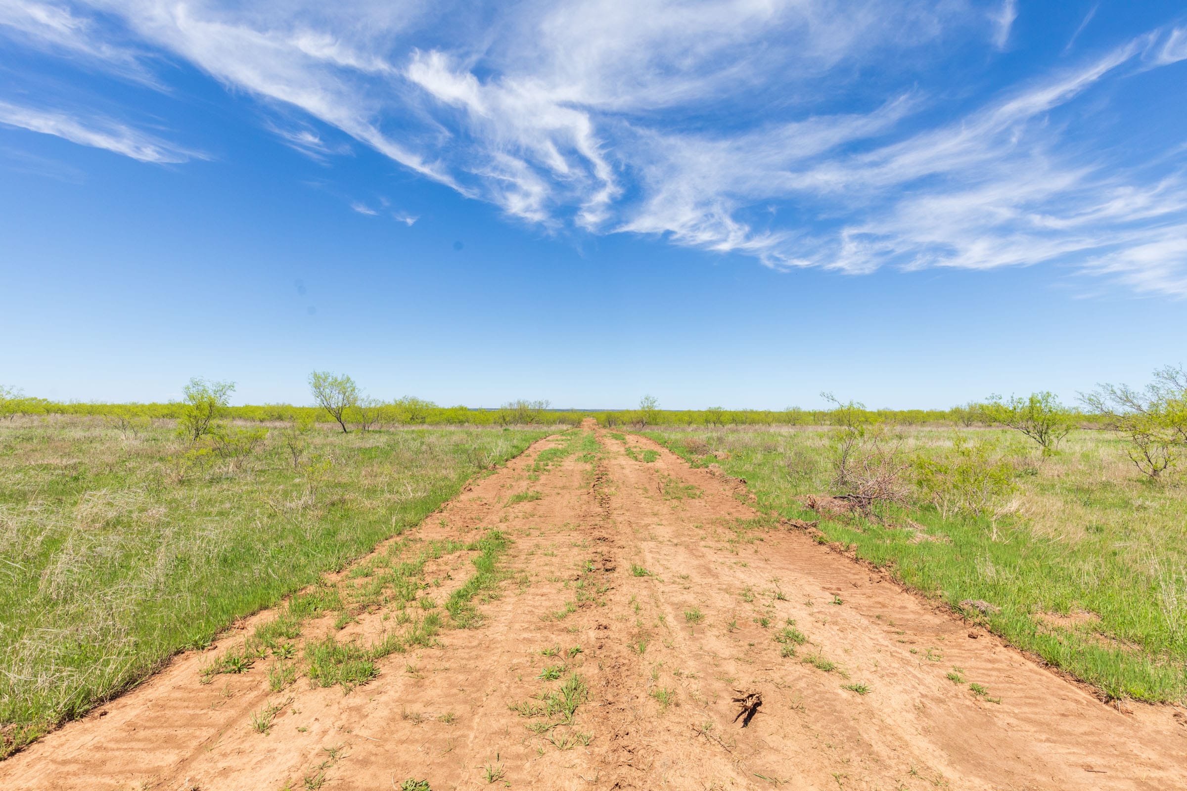 Hackberry Fields Tract 5 photo 10