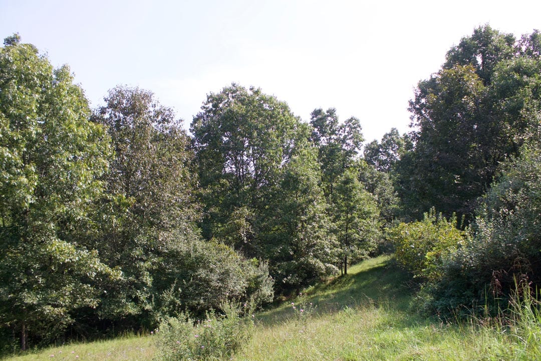 Heritage Hollow Tract 26 photo 5