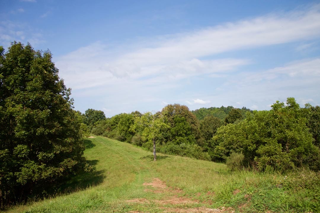 Heritage Hollow Tract 26 photo 11