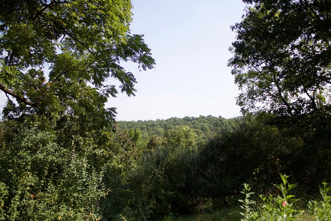 Heritage Hollow Tract 26 photo 12