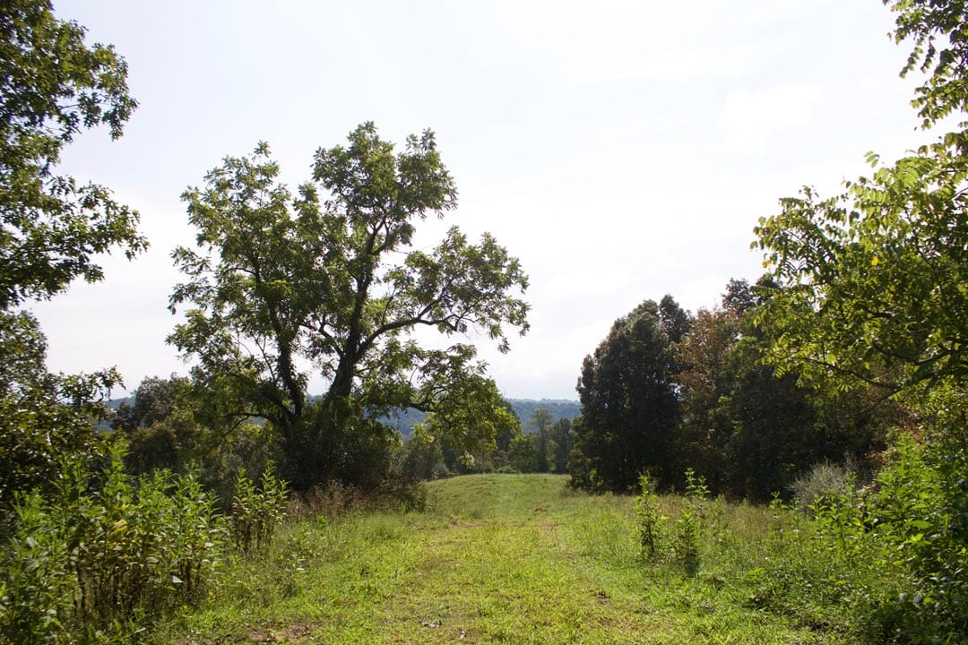 Heritage Hollow Tract 26 photo 13