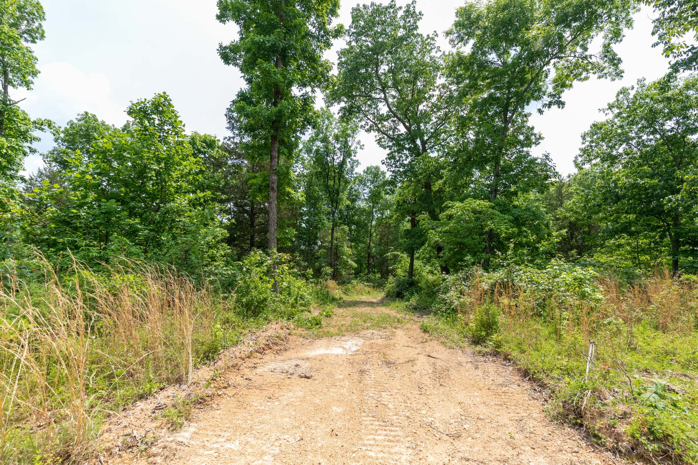 Cedar Creek Tract 16 photo 1