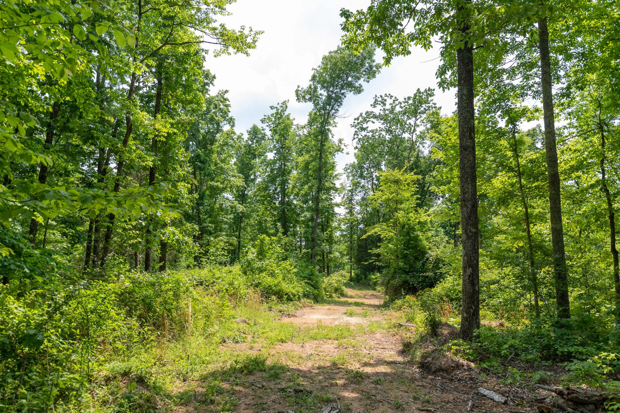 Cedar Creek Tract 16 photo 11