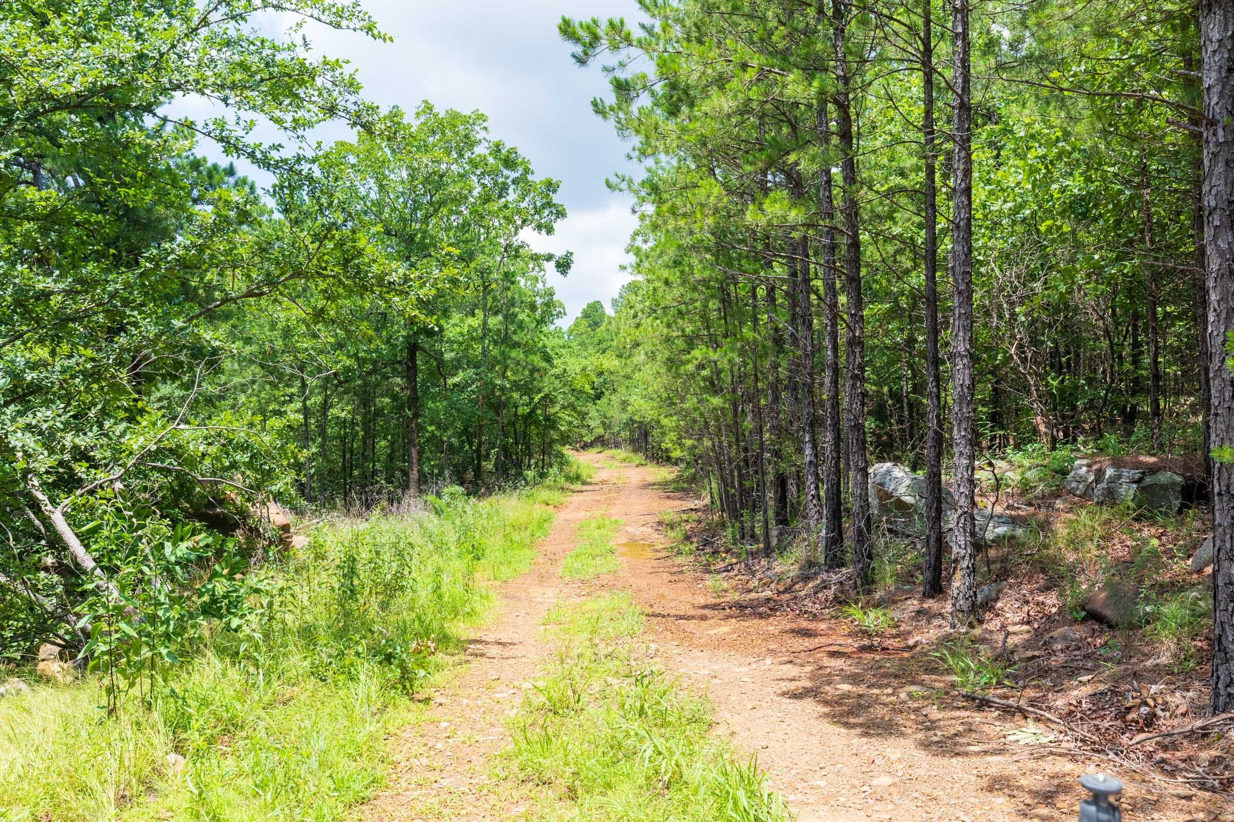Stone Bridge Phase VI Tract 433 photo 1