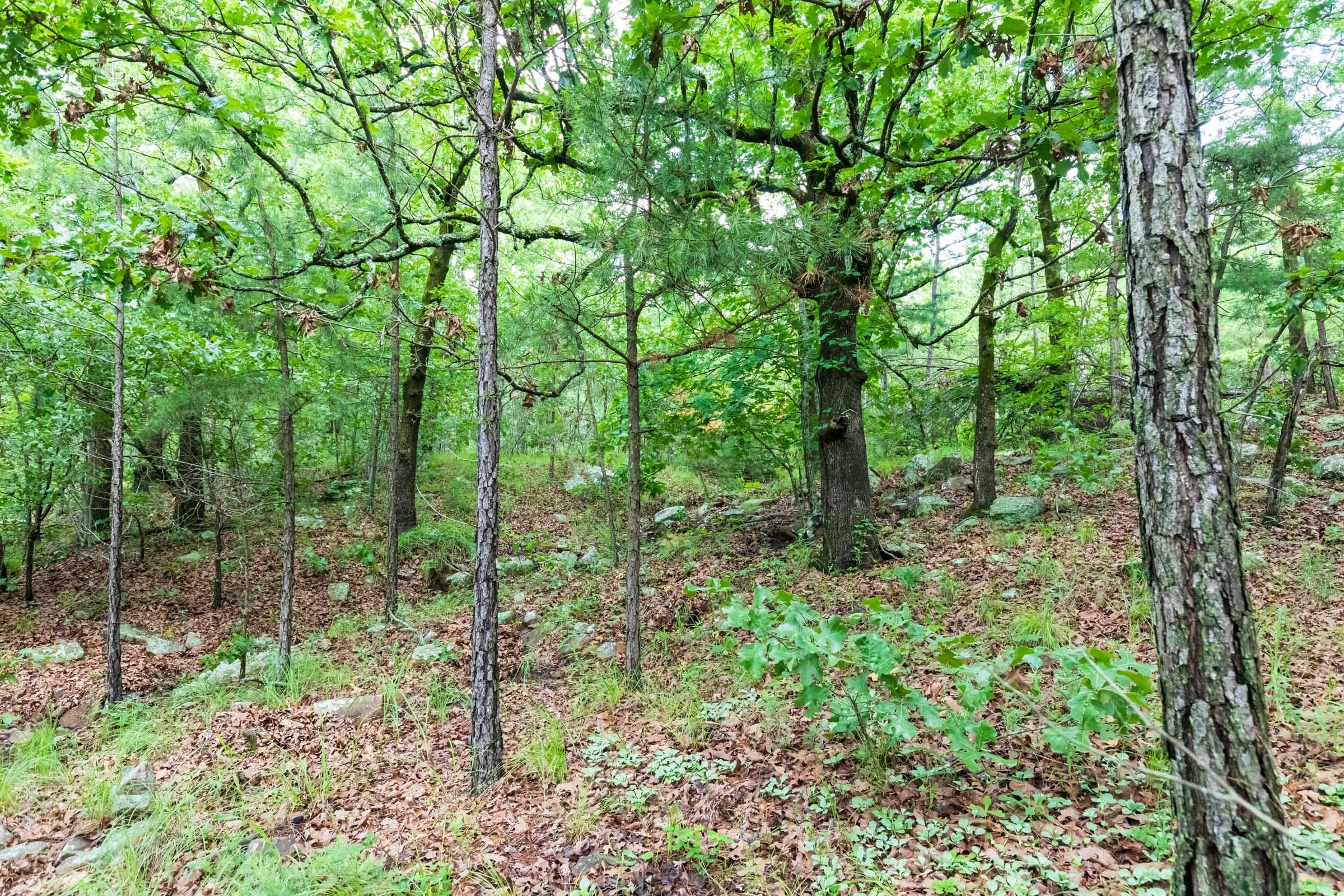Stone Bridge Phase VI Tract 433 photo 8