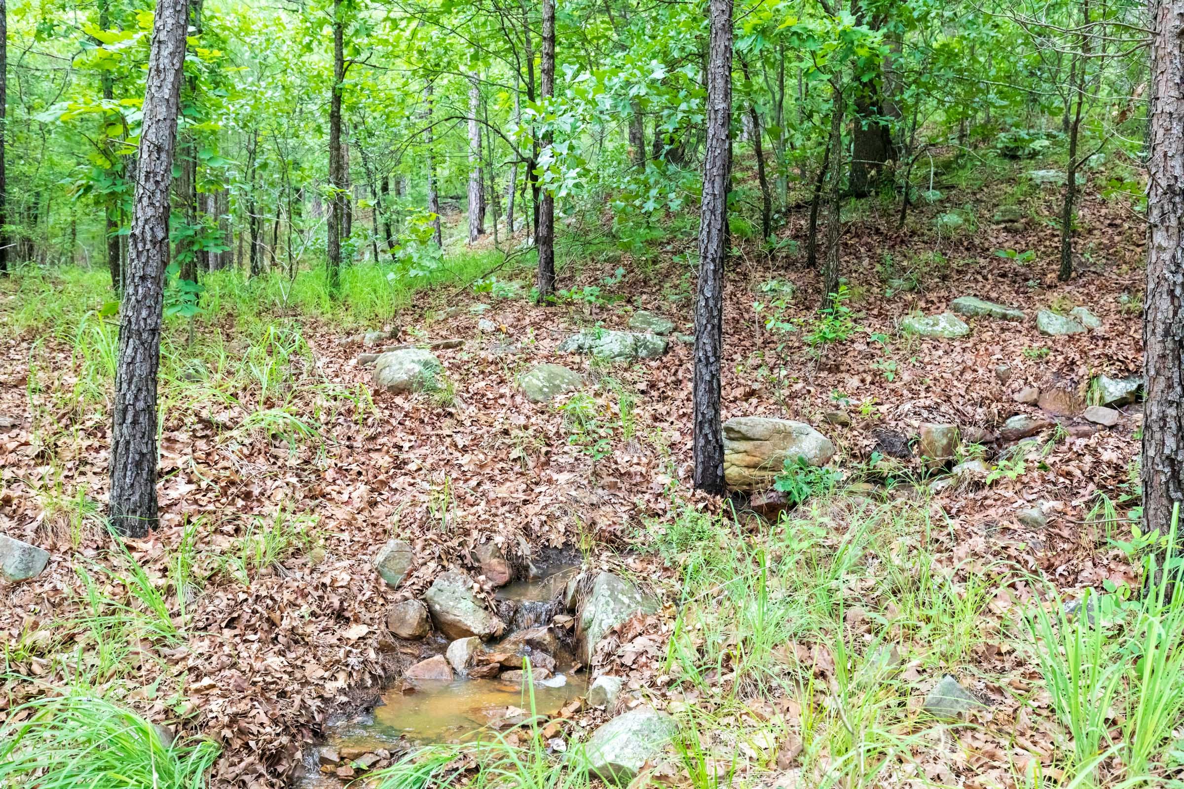Stone Bridge Phase VI Tract 433 photo 7