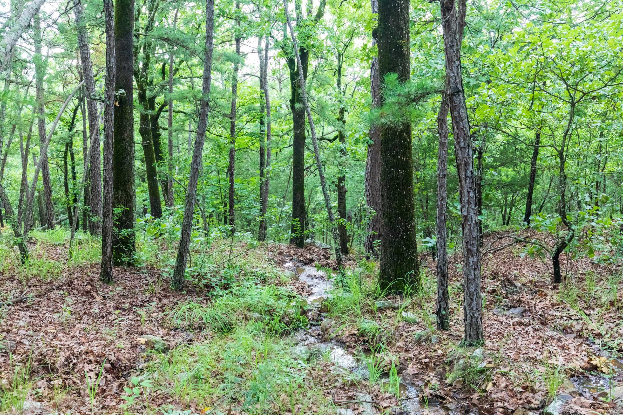 Stone Bridge Phase VI Tract 433 photo 10