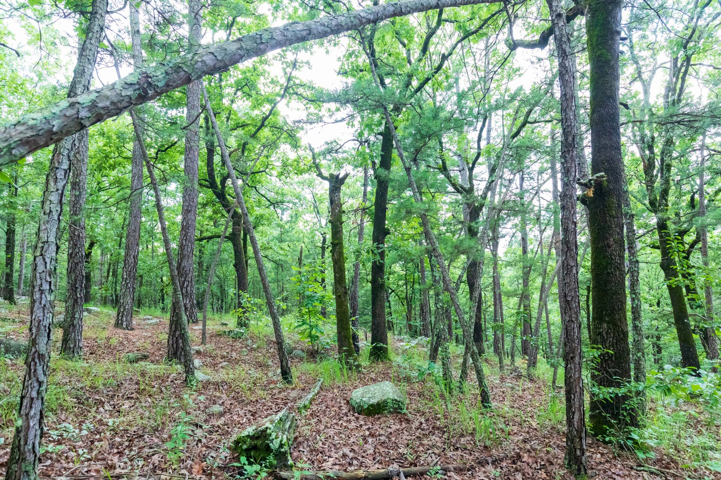 Stone Bridge Phase VI Tract 433 photo 11