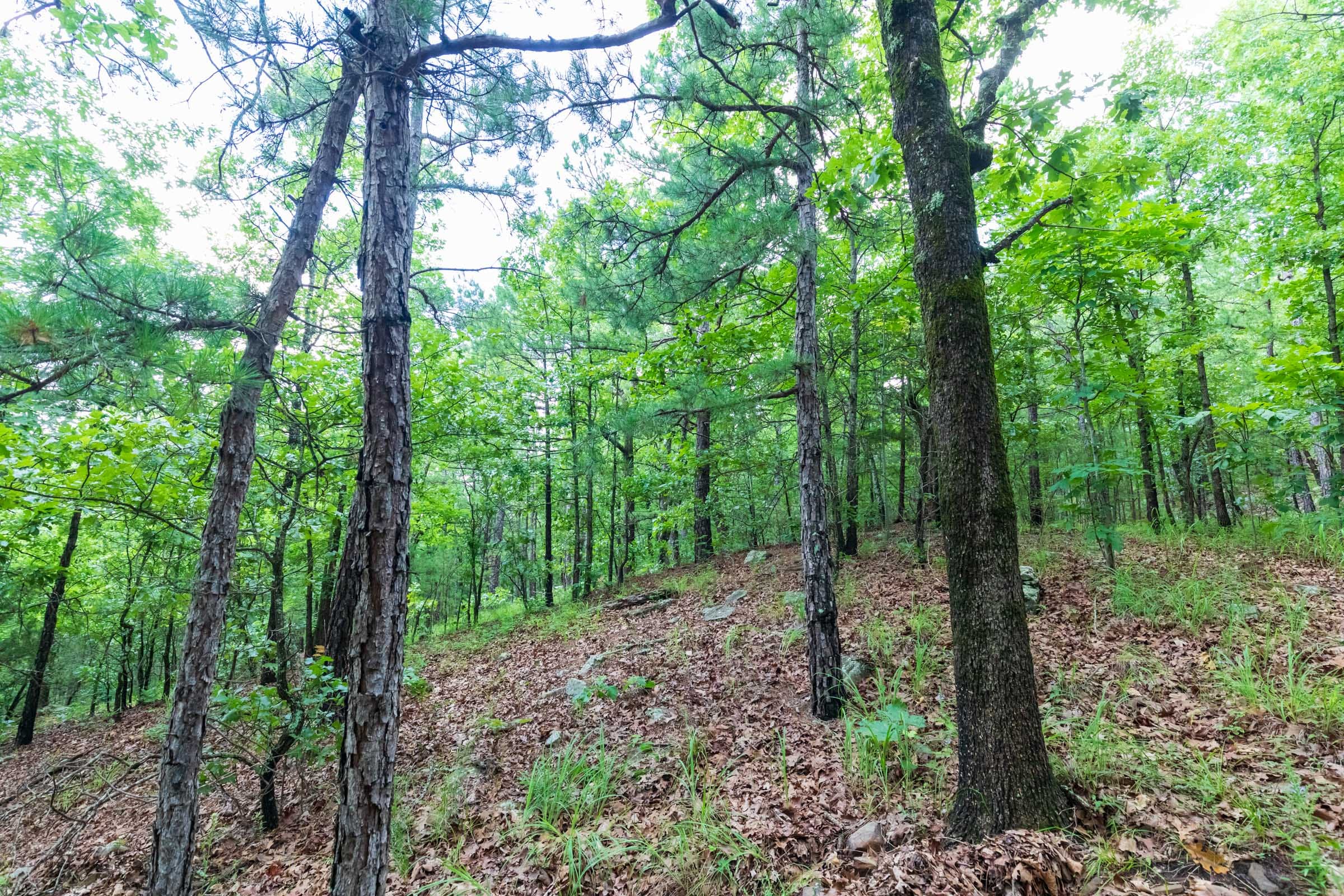 Stone Bridge Phase VI Tract 433 photo 12