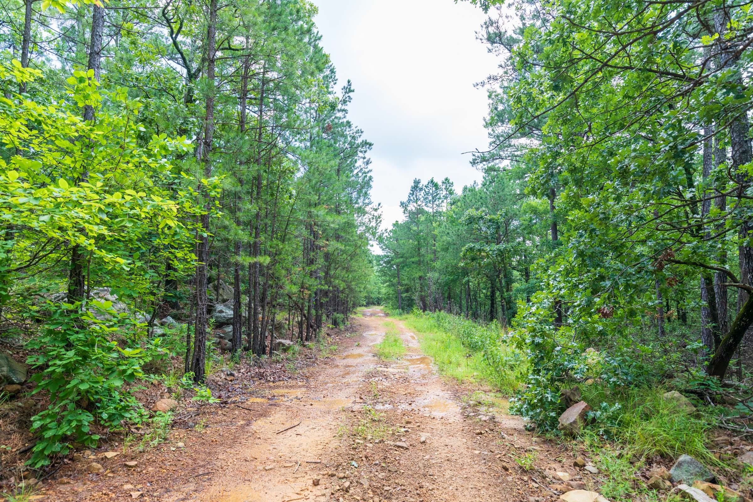 Stone Bridge Phase VI Tract 433 photo 9