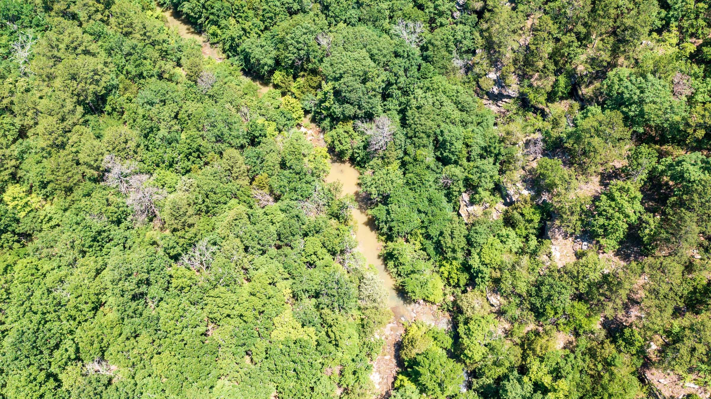 Stone Bridge Phase VI Tract 433 photo 13