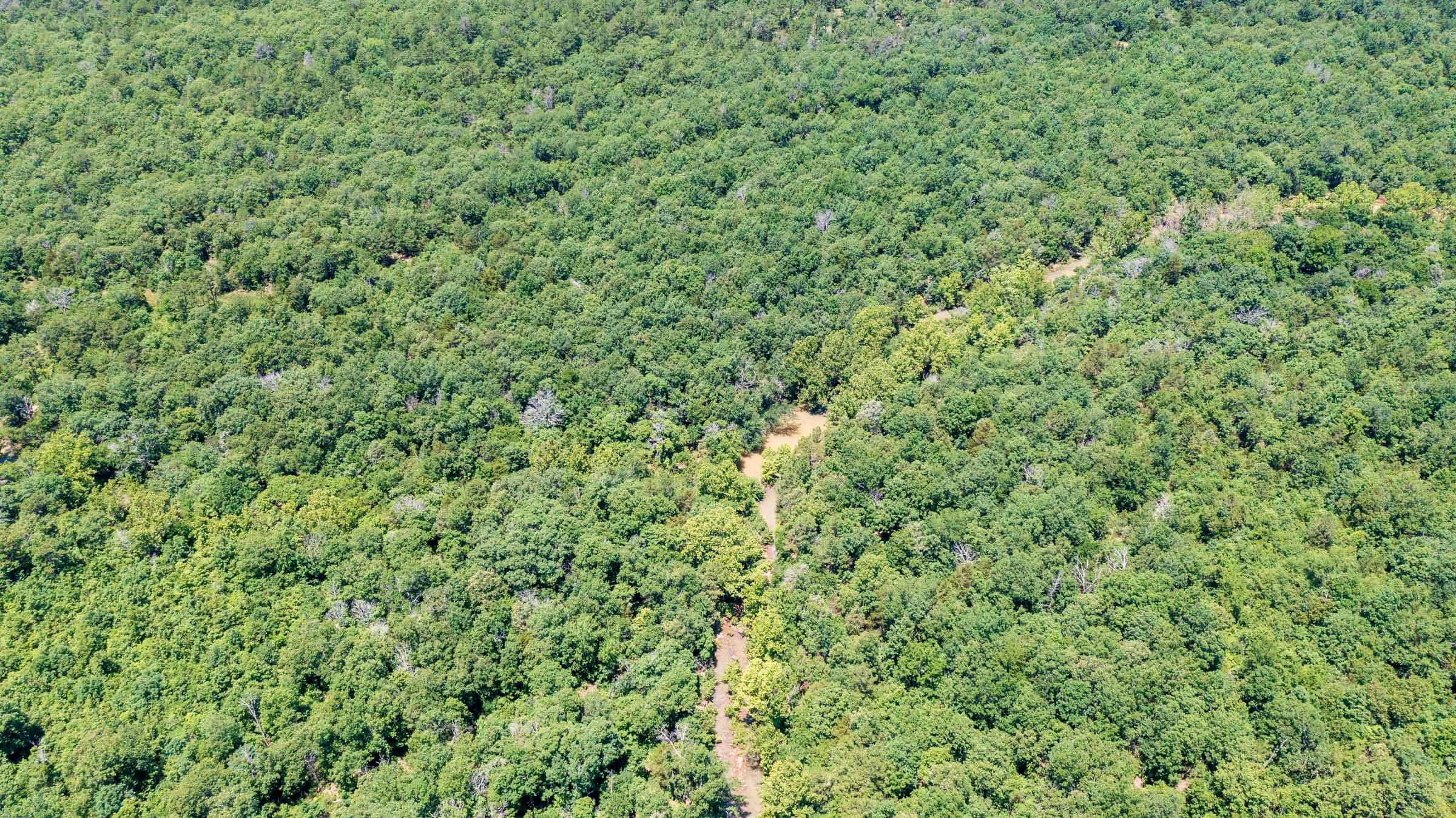 Stone Bridge Phase VI Tract 433 photo 14