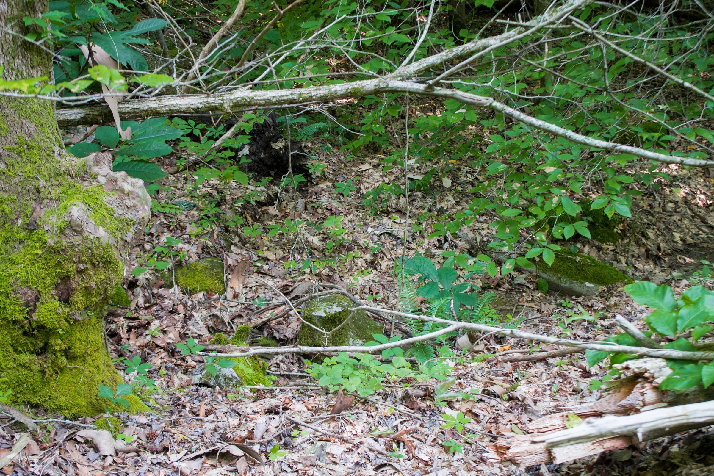 Bluewater Ridge Tract 28 photo 1