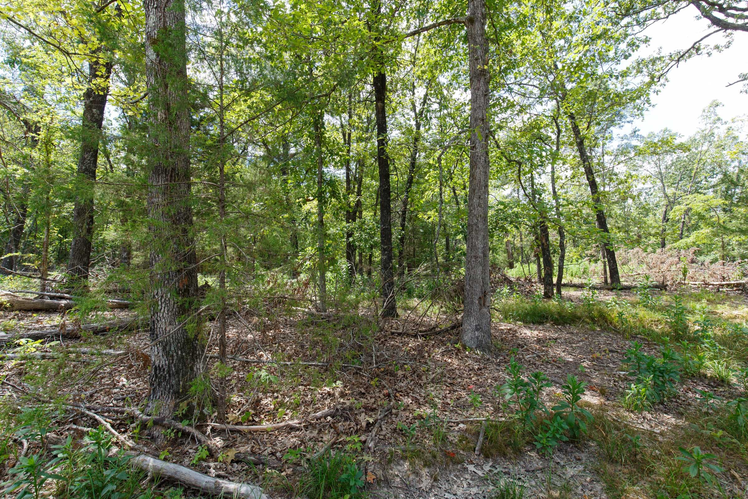 Wildwood Tract 10 photo 3