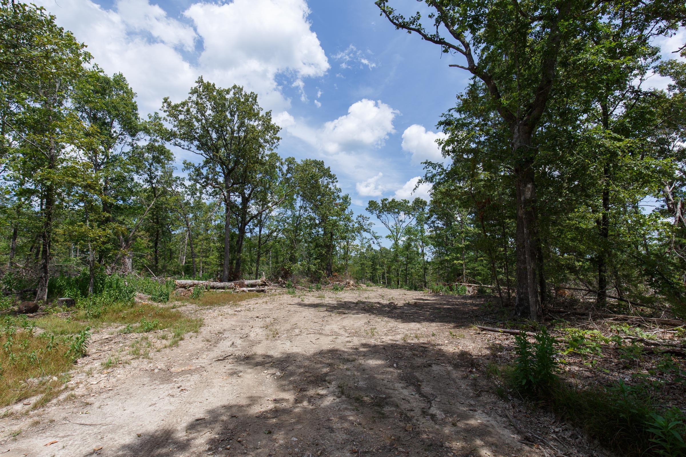 Wildwood Tract 10 photo 5