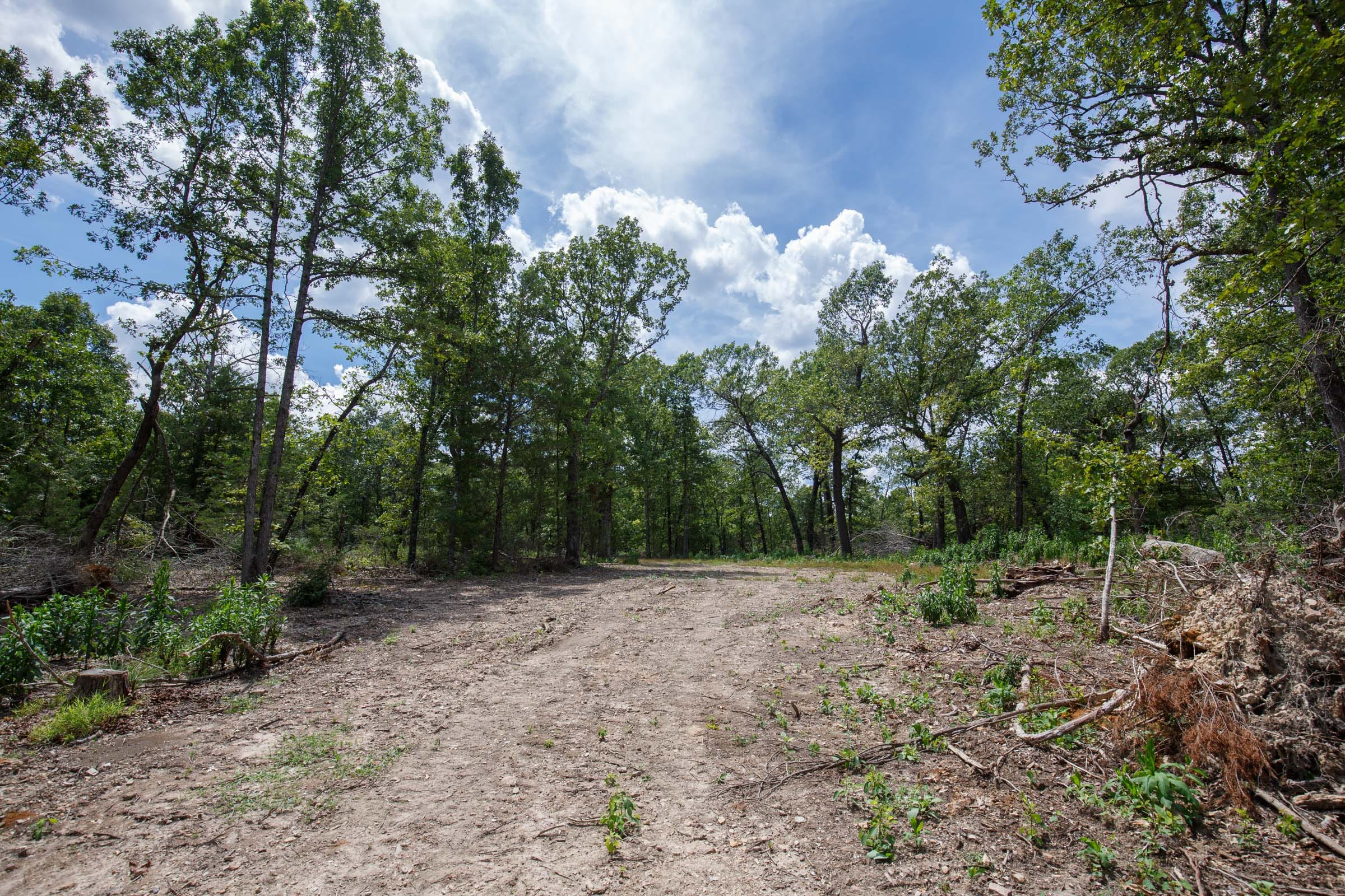 Wildwood Tract 10 photo 1