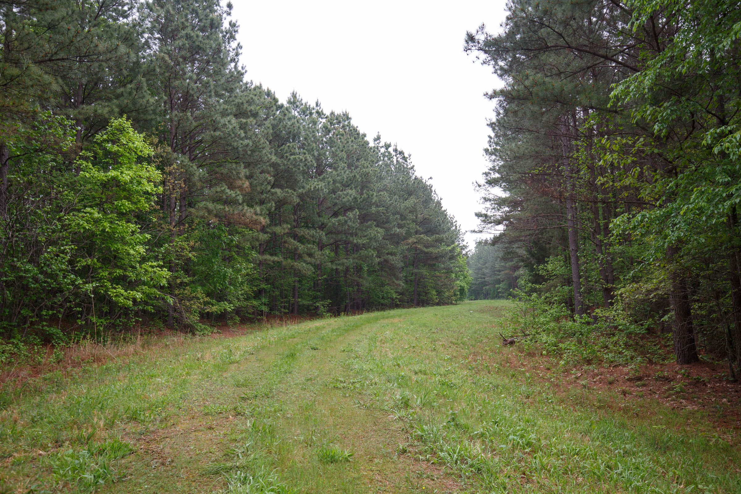 Red Barn Ranch Tract 21 photo 5