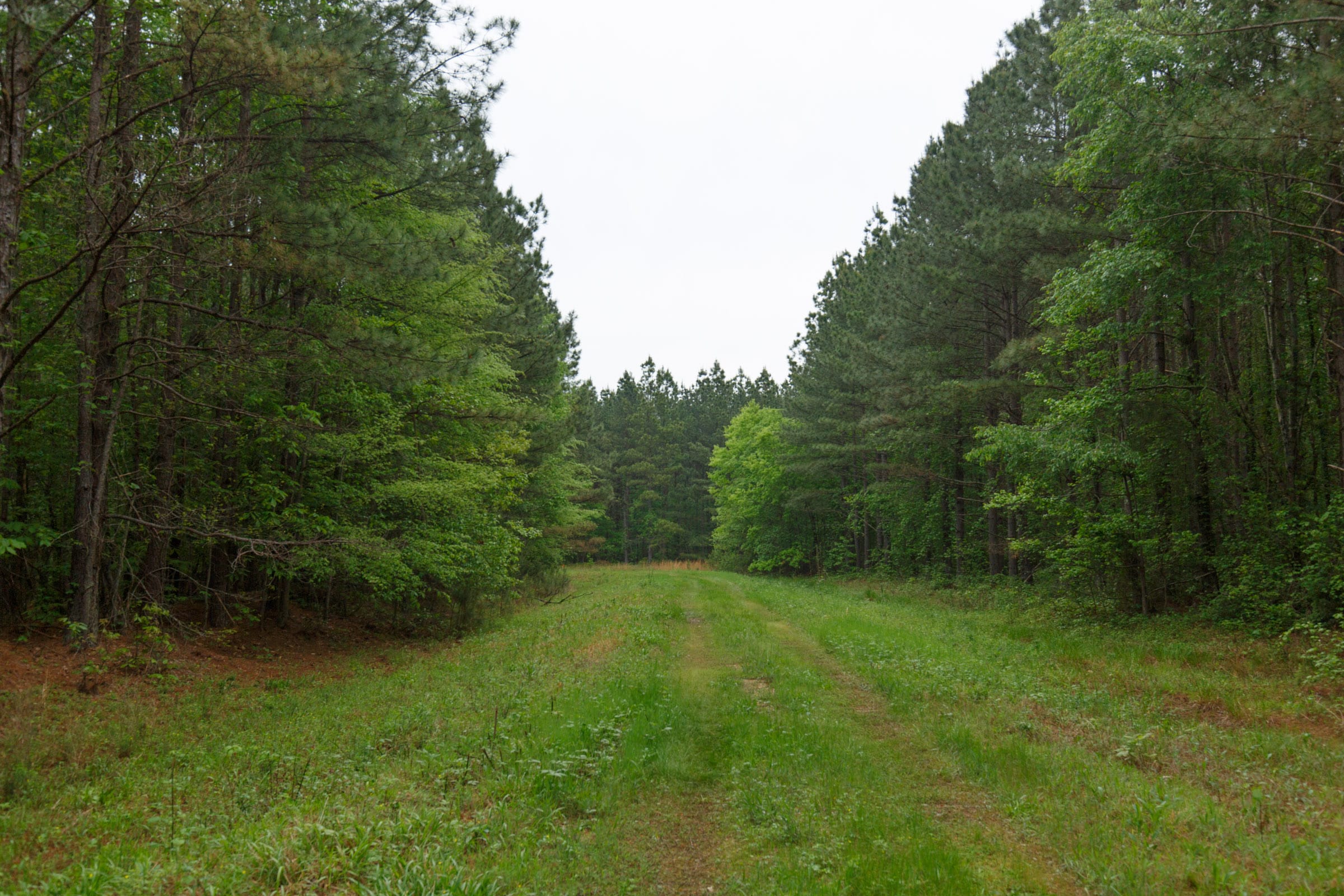 Red Barn Ranch Tract 21 photo 1