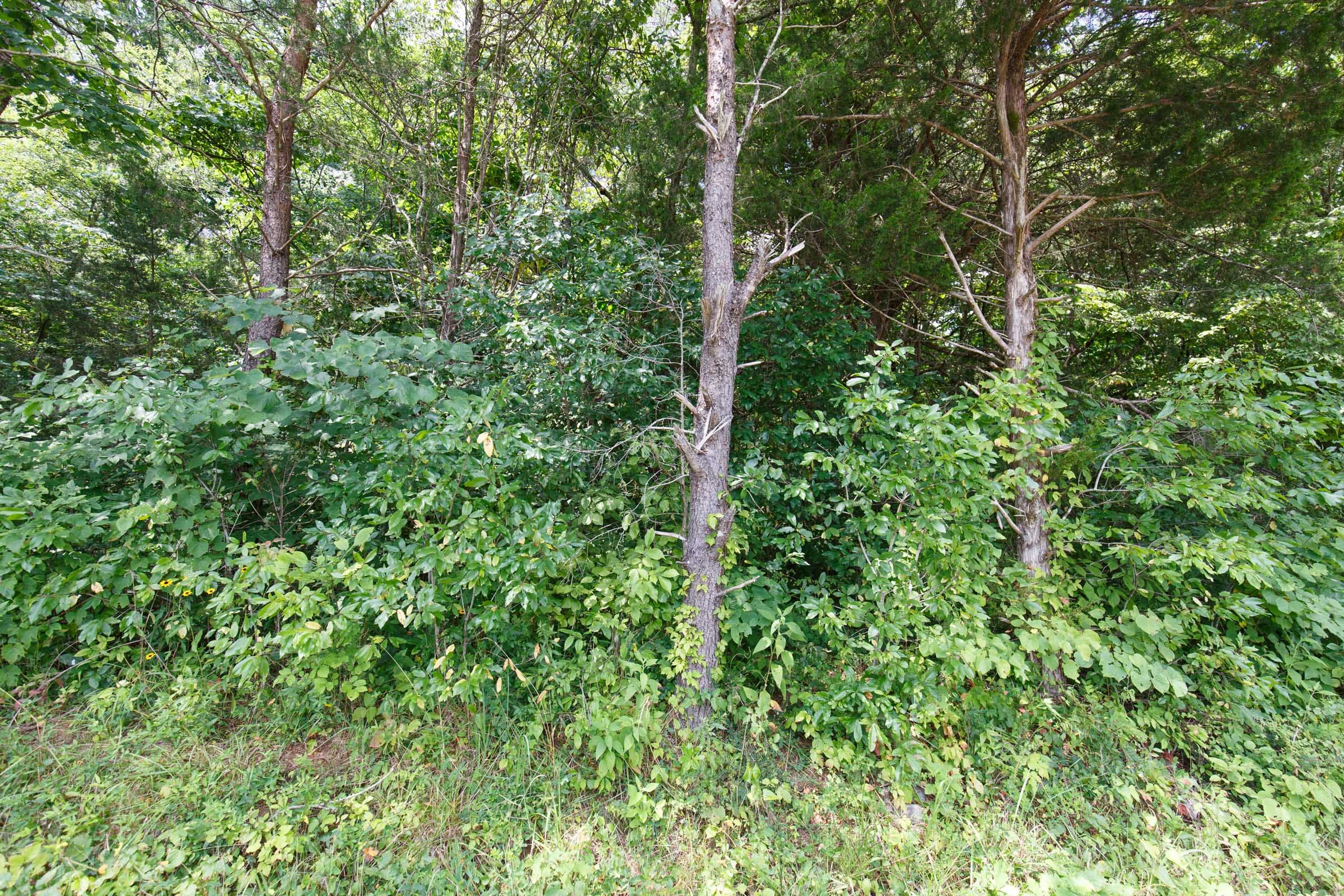 Rolling Hills Tract 3 photo 9