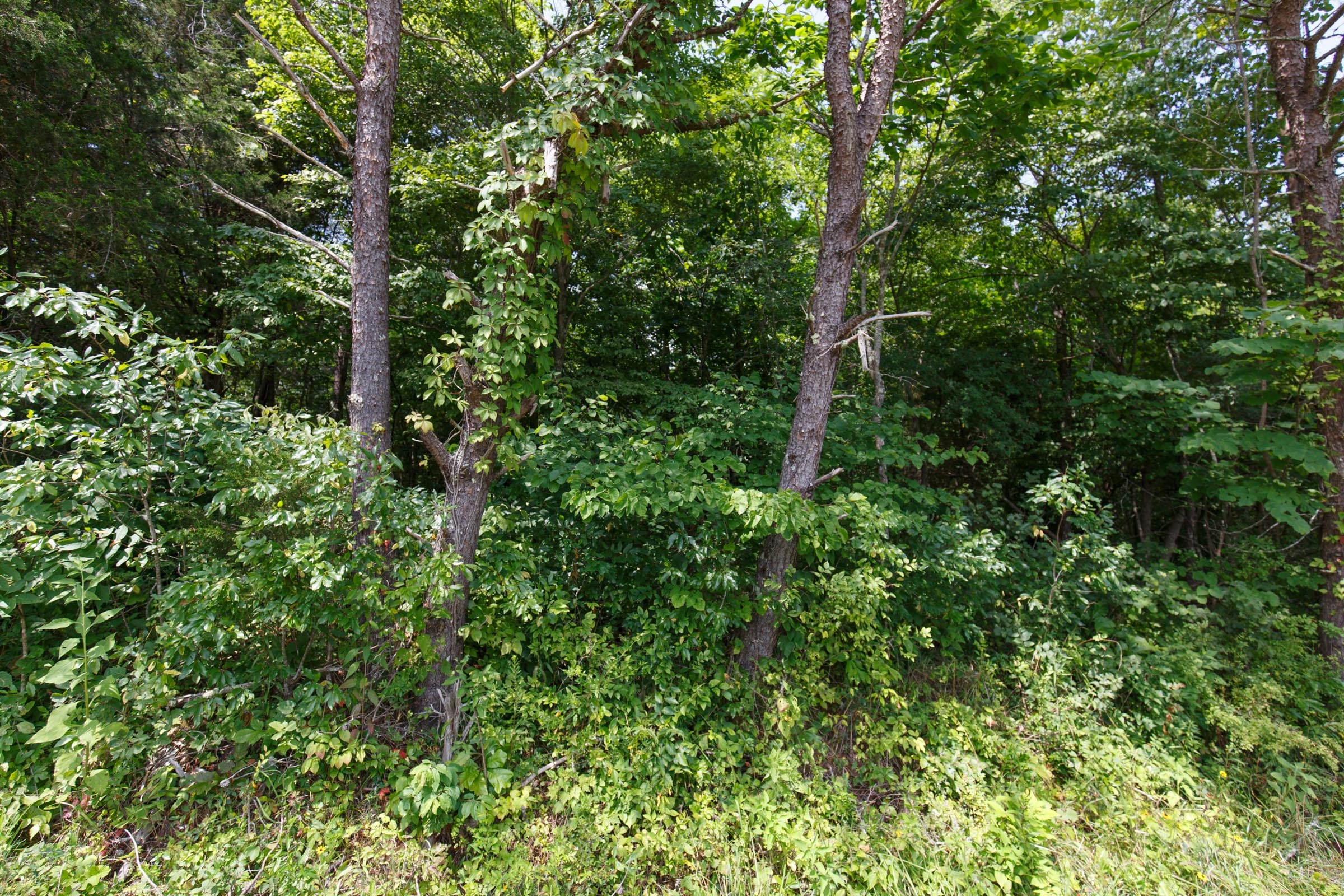 Rolling Hills Tract 3 photo 3