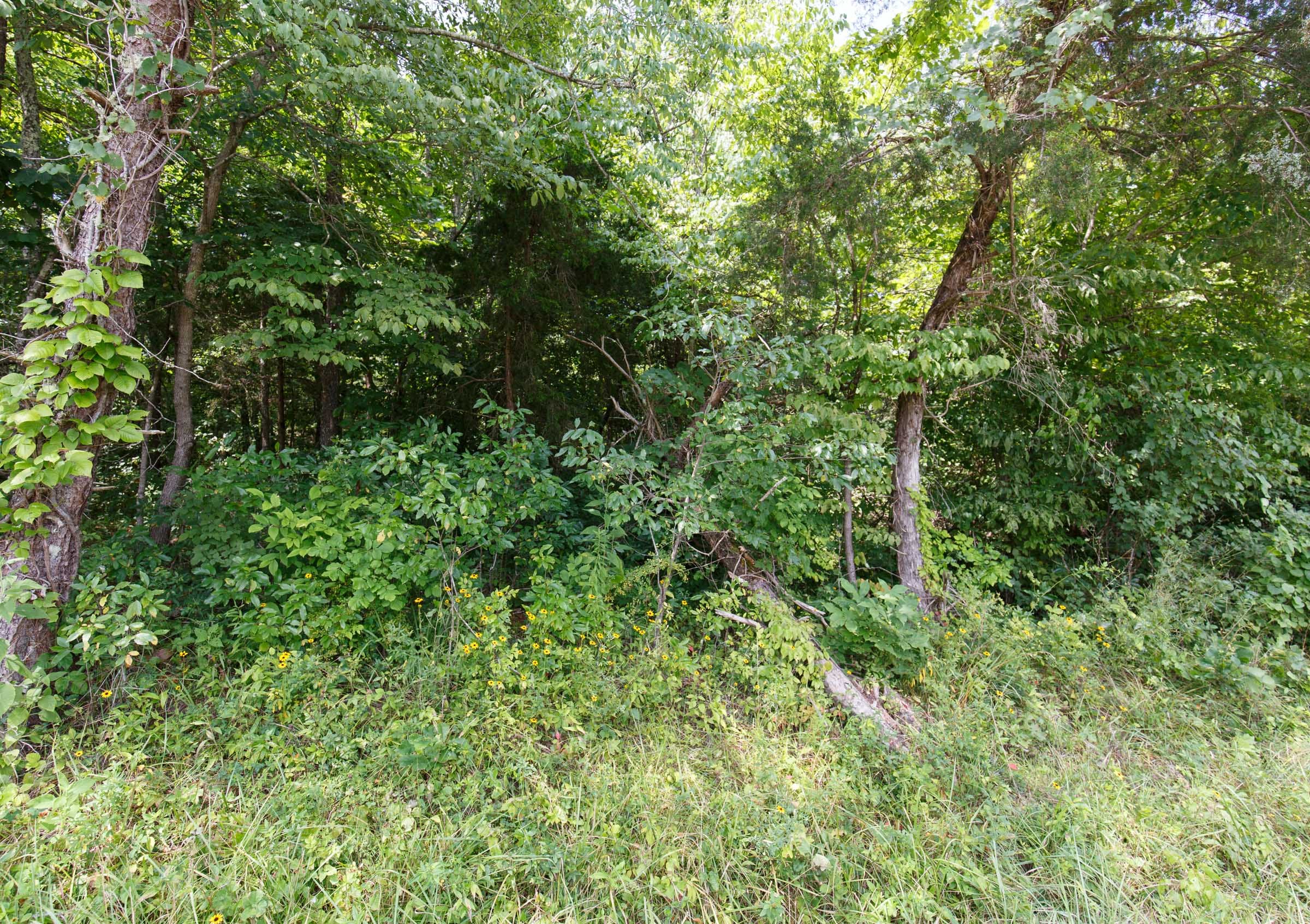 Rolling Hills Tract 3 photo 11