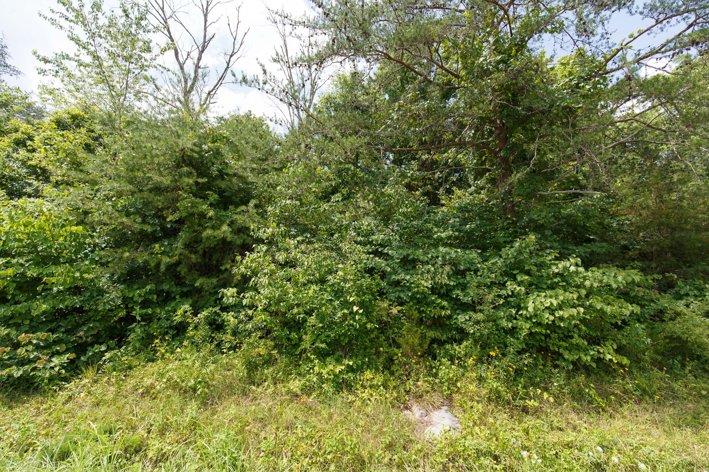 Rolling Hills Tract 3 photo 8