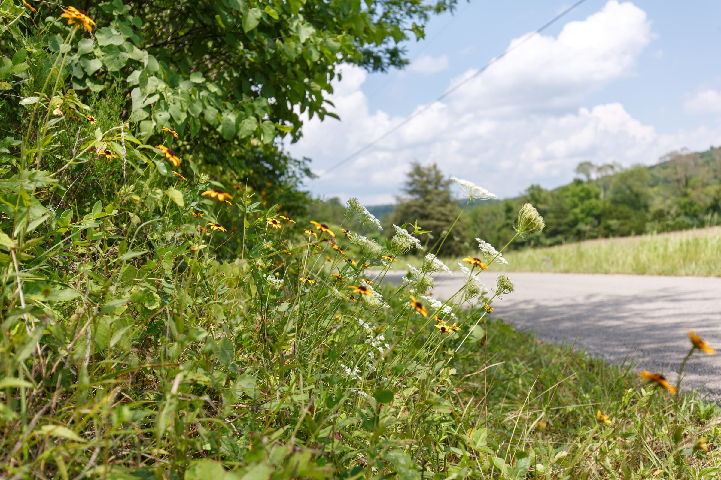 Rolling Hills Tract 3 photo 7