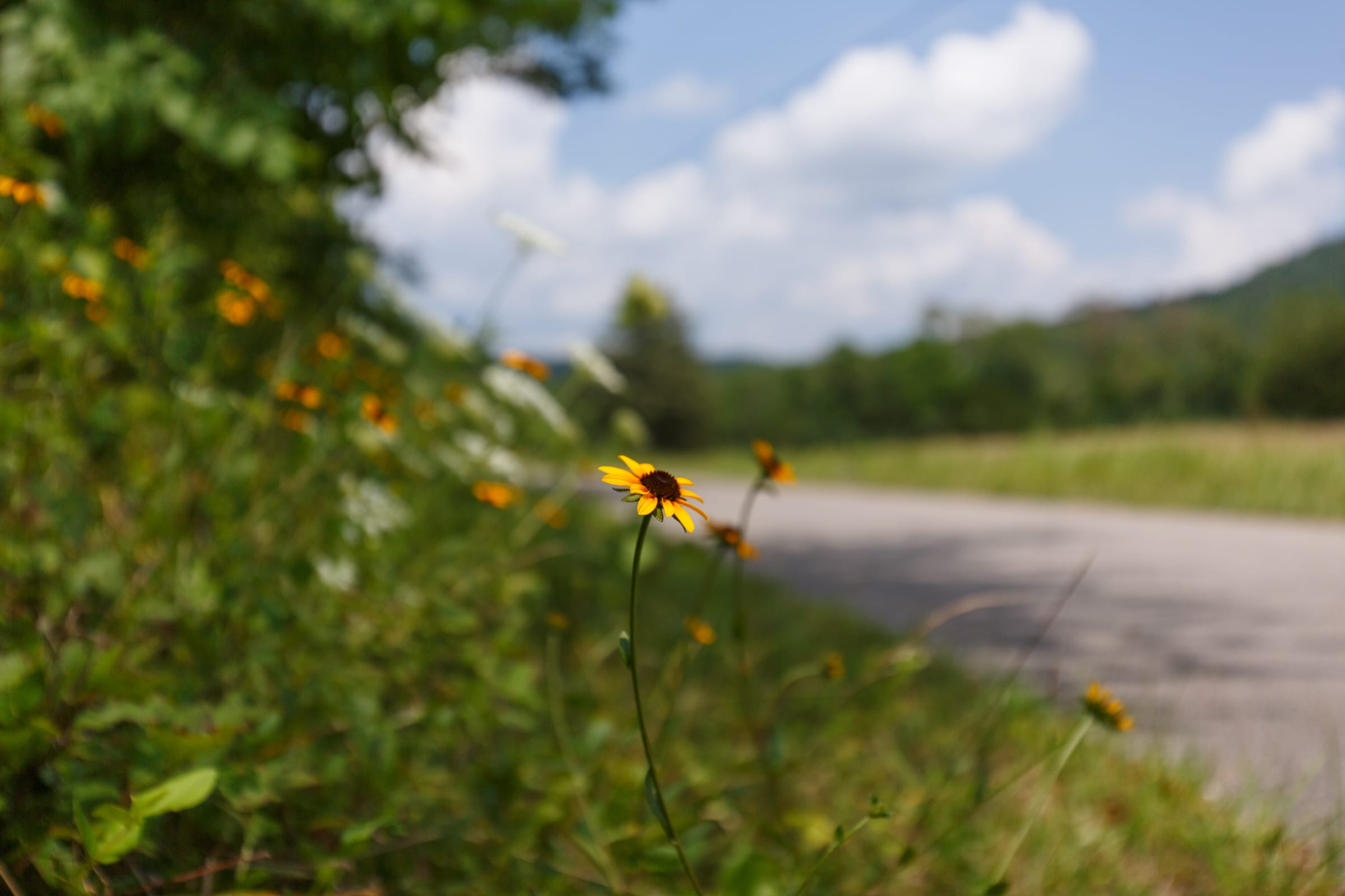 Rolling Hills Tract 3 photo 4