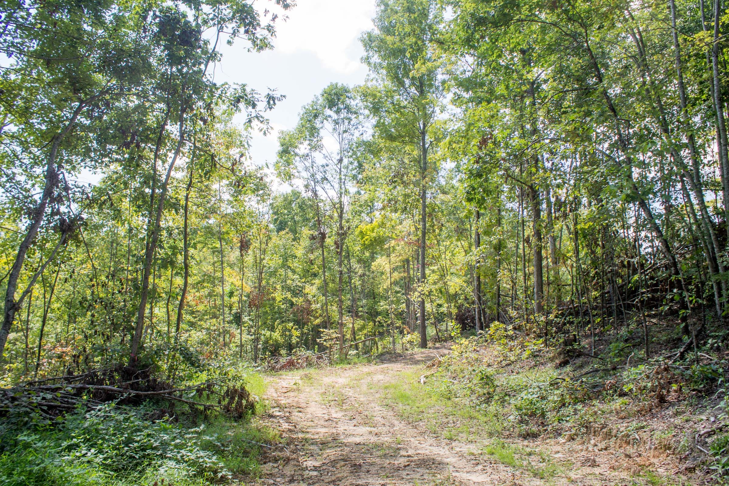 Buck Run Ridge Tract 13 photo 1