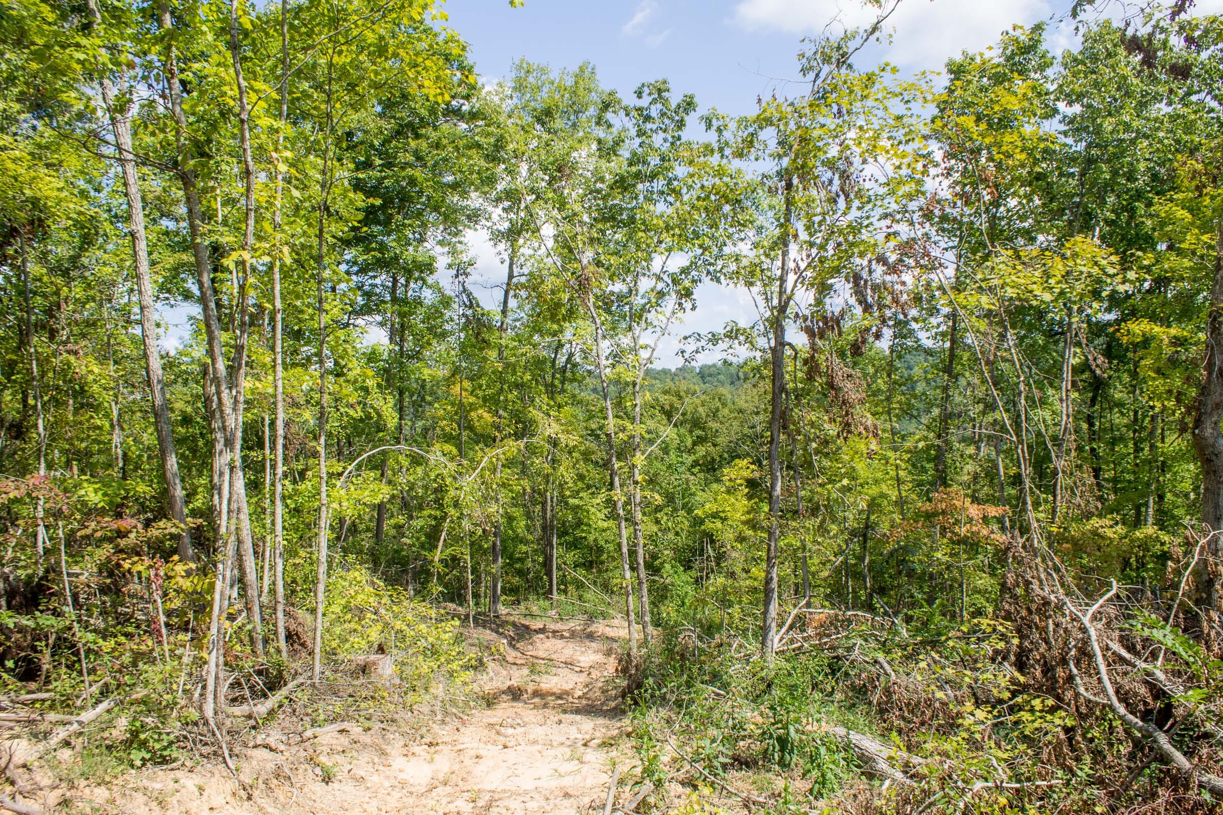 Buck Run Ridge Tract 13 photo 4