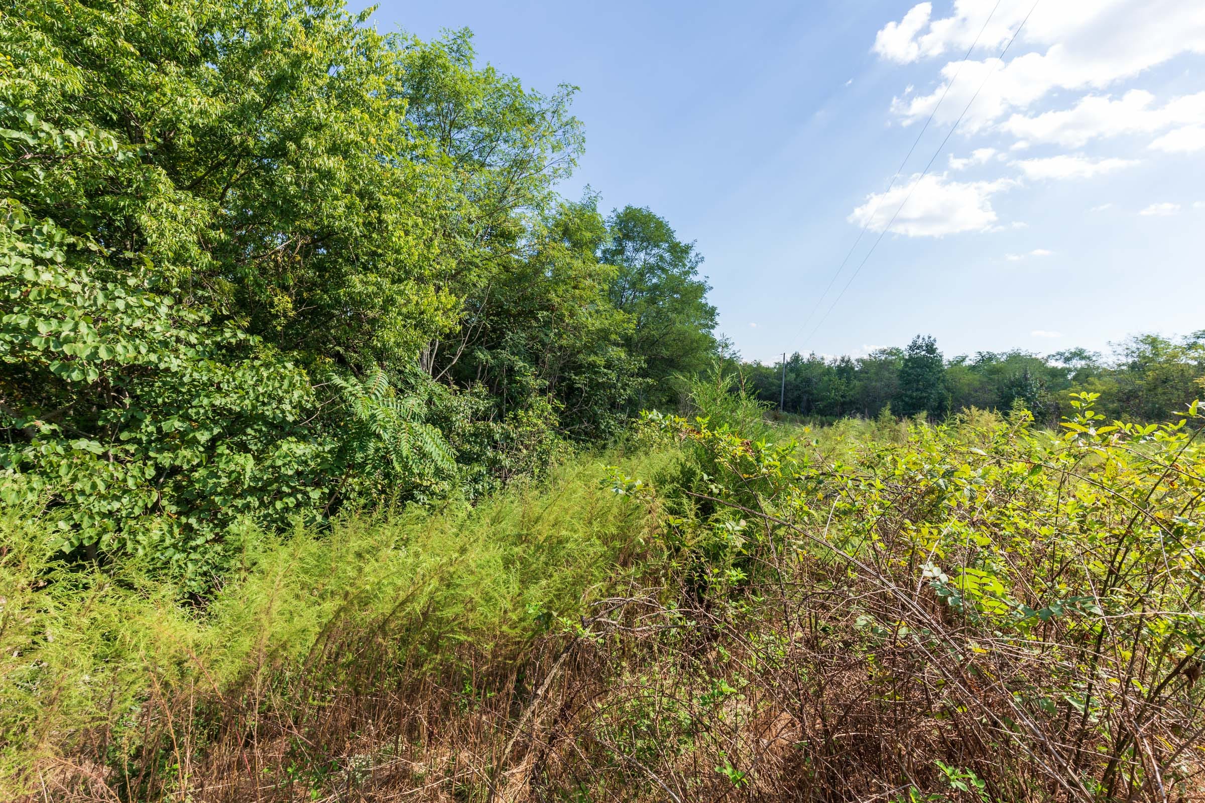 Redemption Ridge Tract 6 photo 6