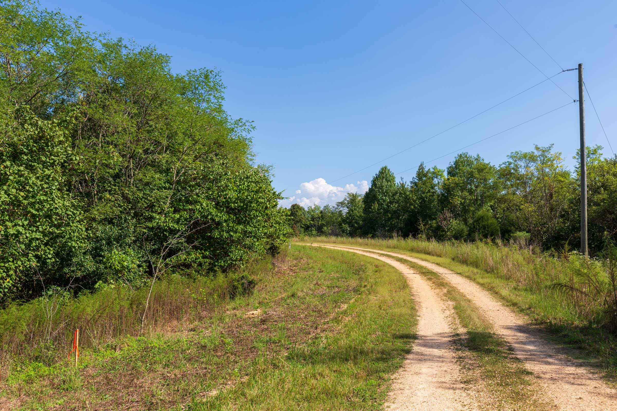Redemption Ridge Tract 6 photo 7