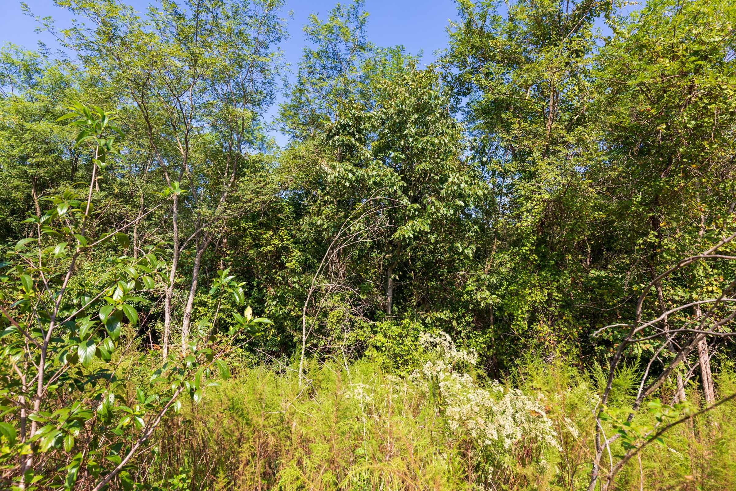 Redemption Ridge Tract 6 photo 8
