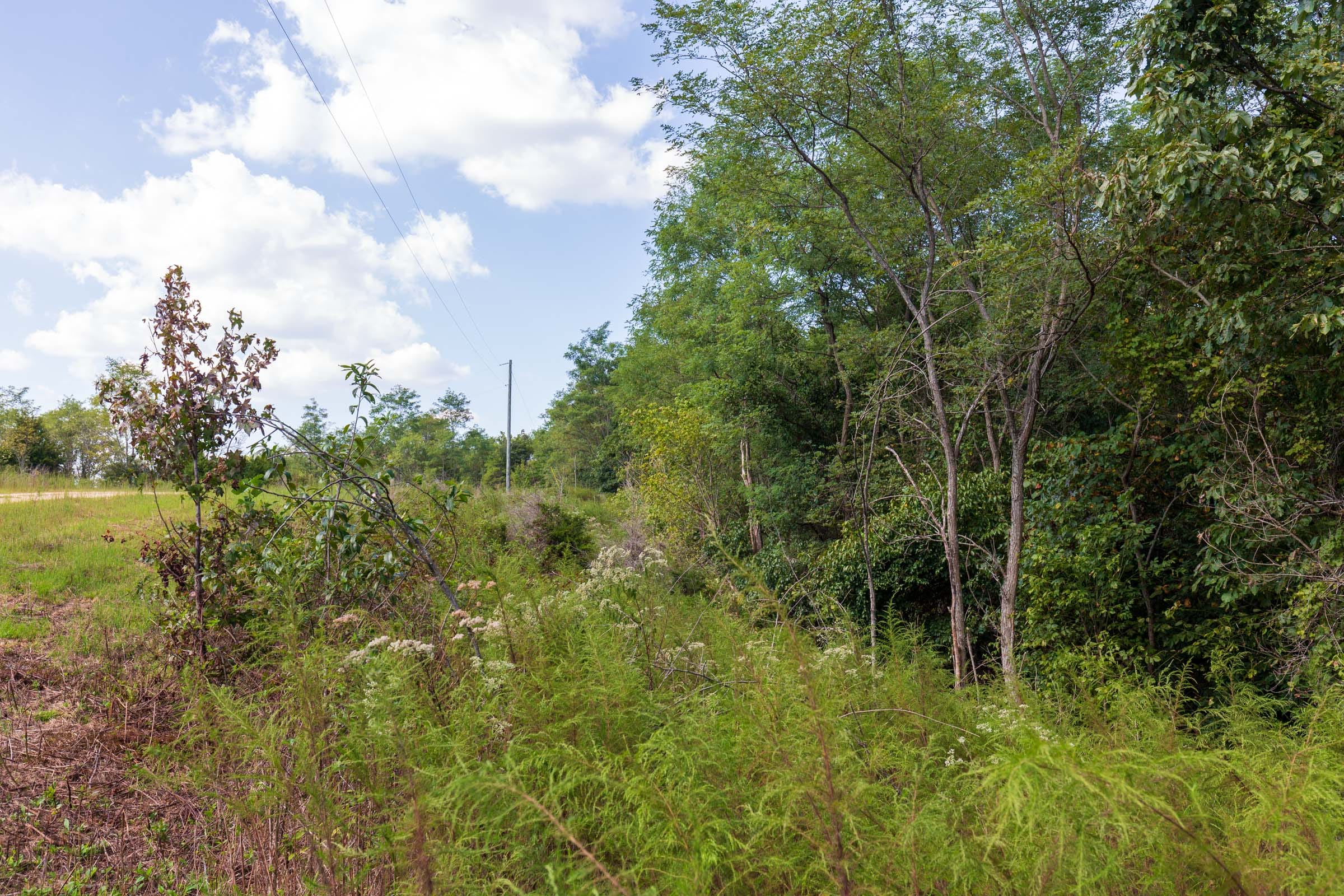 Redemption Ridge Tract 6 photo 9