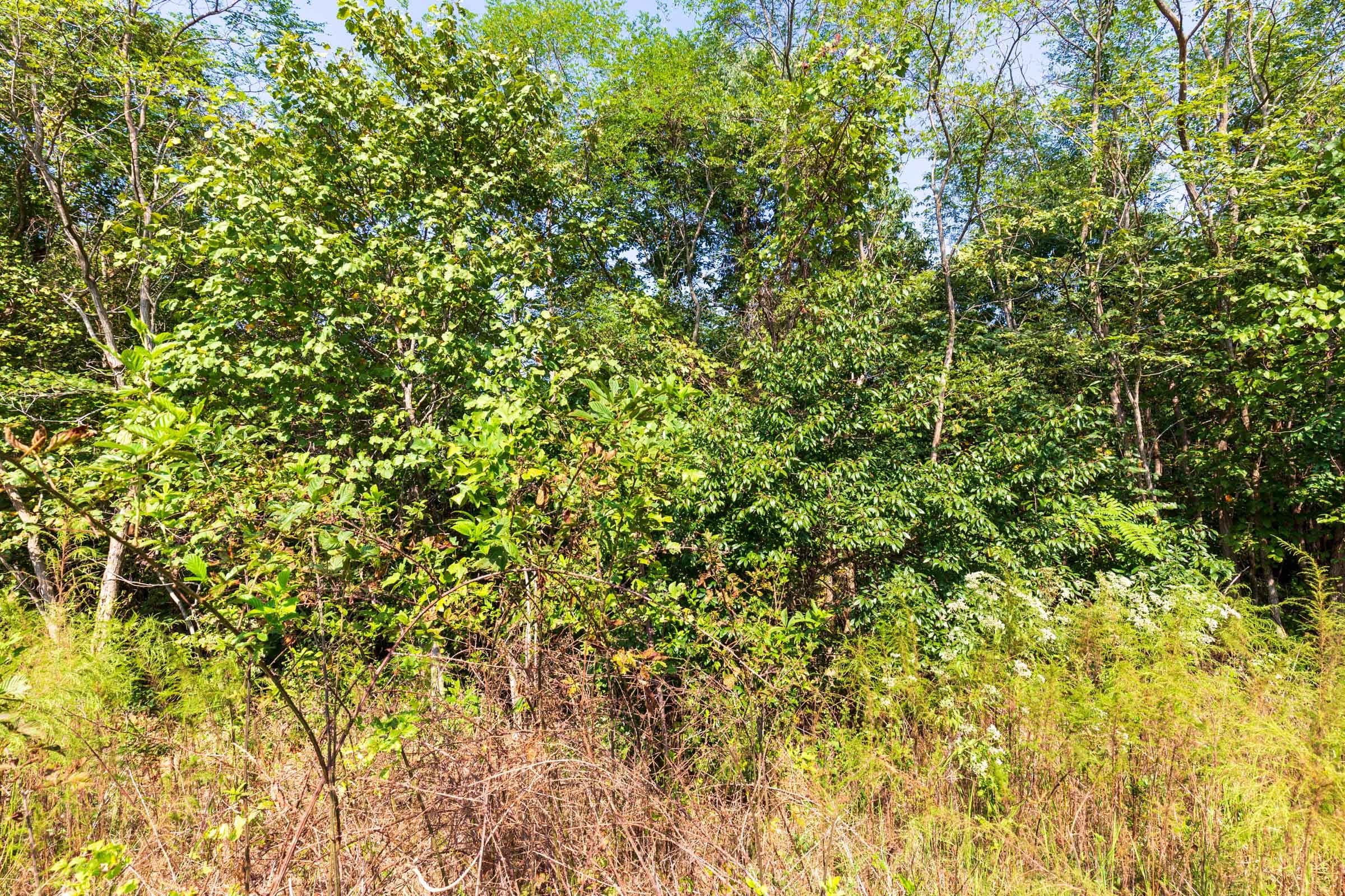 Redemption Ridge Tract 6 photo 11
