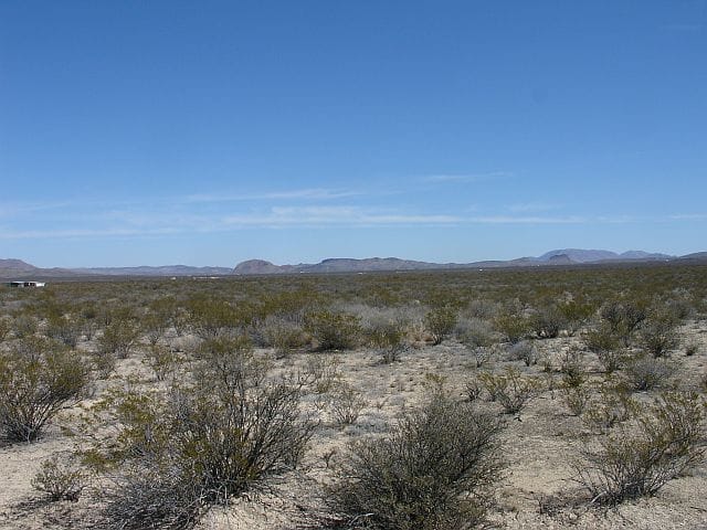 Terlingua Ranch Tract 8651 photo 14
