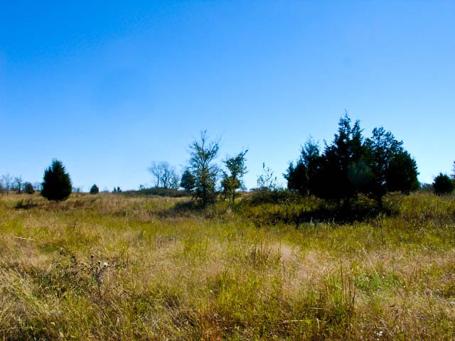 Saddlebrook Ranch Tract 23 photo 1