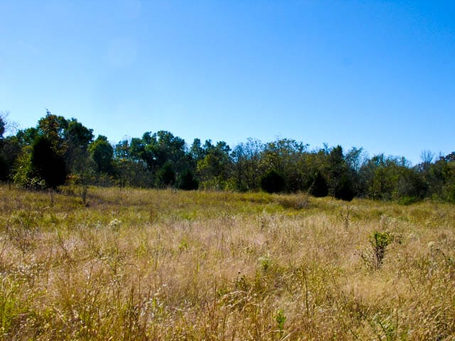 Saddlebrook Ranch Tract 23 photo 2