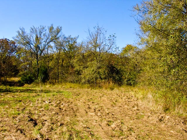 Saddlebrook Ranch Tract 23 photo 4