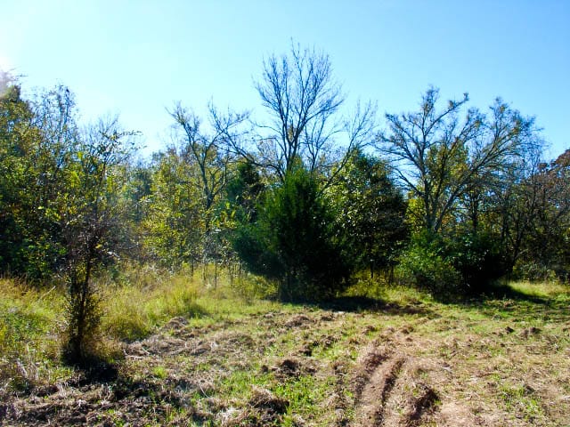 Saddlebrook Ranch Tract 23 photo 5