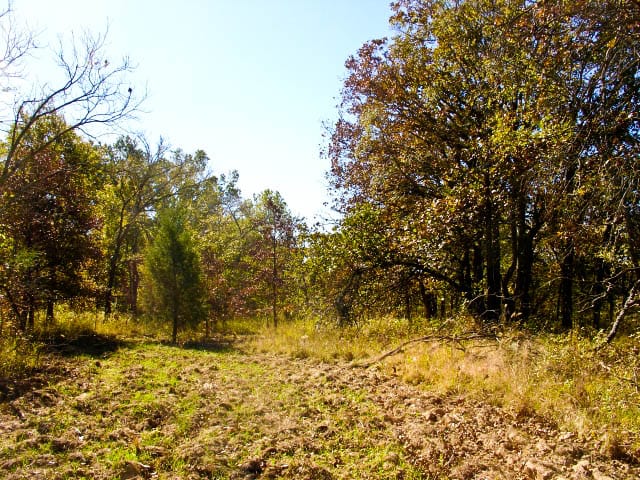 Saddlebrook Ranch Tract 23 photo 6